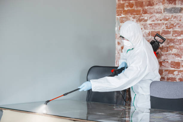 Biohazard Mold Removal